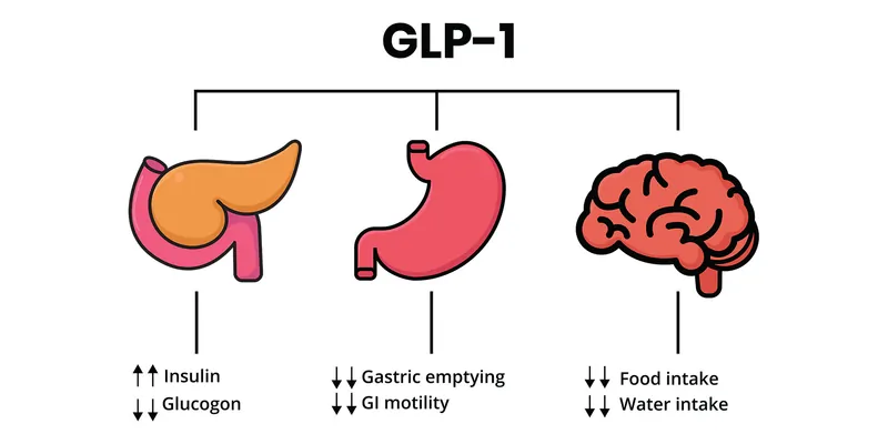 foods not to eat on glp 1 A Fresh Take on GLP-1 Support